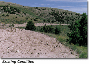 There is one photograph here of an existing mine exploration road at the Black Pine gold mine in Idaho, and a second image of the visual simulation of that exploration road after revegetation.